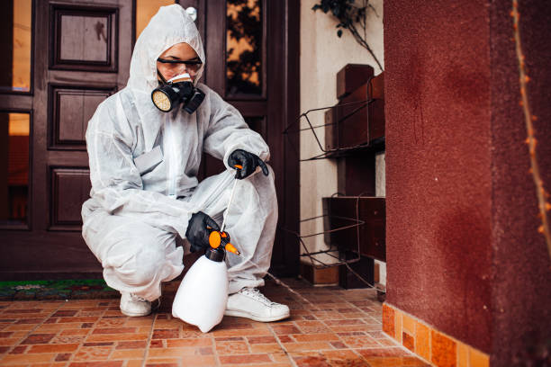Reliable Cockroach Control contractor in Cut Off, LA by Nex Pest Control