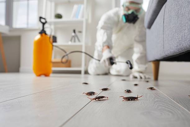 Trusted Cockroach Control service in Cut Off, LA - Nex Pest Control