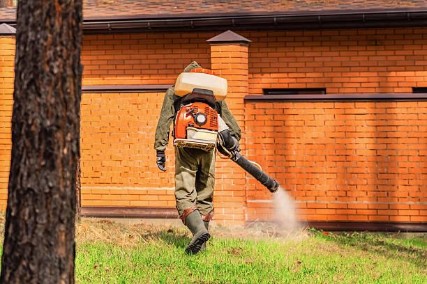 Trusted Ant Control service in Cut Off, LA - Nex Pest Control